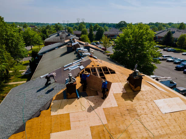 Trusted Storm Damage Roof Repair service in Flom, MN - Brentwood Metal Roofing